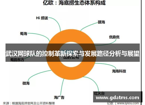 武汉网球队的控制革新探索与发展路径分析与展望