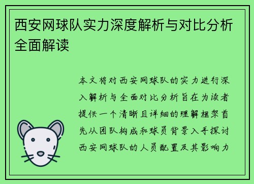 西安网球队实力深度解析与对比分析全面解读